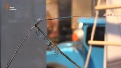 За попередніми даними, вхід магазину Roshen у Харкові підірвали гранатою – прокуратура (відео)