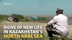 In Kazakhstan, Returning Aral Sea Brings Fish And Hope