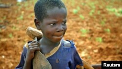 Povećanje od 14 procenata rada djece u posljednjih deset godina objašnjava se povećanjem ukupne proizvodnje kakaovca od 62 procenta.