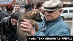 Согласно законодательной инициативе, размножение домашних животных должно быть ограничено