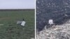 Colaj foto din imaginile făcute publice de Poliția din R. Moldova cu rămășițele unei drone de mici dimensiuni depistate în raionul Orhei, aflat în partea central-estică a țării.