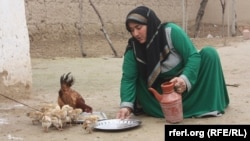 Иллюстративное фото.