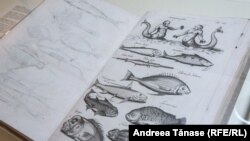 Carte de biologie marină expusă în Muzeul Hărților.