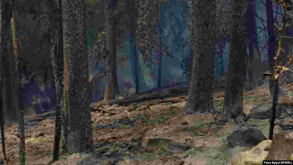 Dan nakon požara&nbsp;