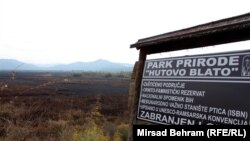 Hutovo blato, dom za 163 vrste ptica i 630 biljnih vrsta