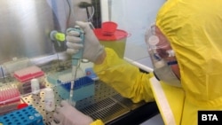 Иллюстративное фото