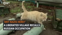 'Any Nazis Here?': A Liberated Village Recalls Russian Occupation