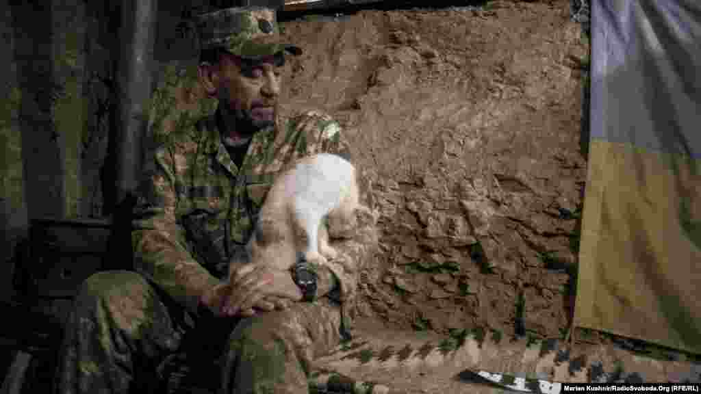 «Батя». Солдат 1-ї роти 10-го батальйону 59-ї бригади в командному пункті разом із котами. Середній вік солдатів – 39 років. Про це розповів один із бійців цього батальйону, який з власної ініціативи веде статистику