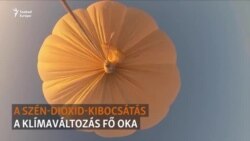 A határ a csillagos ég: egy izraeli startupcég légballonokkal akarja felfogni a szén-dioxidot