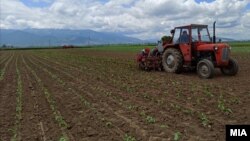 Илустрација 