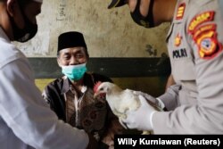Lili Dinata, 72-godišnji mještanin sela Sindanglaya, dobiva kokošku nakon što je primio prvu dozu vakcine protiv COVID-19, tokom vakcinacije "od vrata do vrata" u Regentstvo Cianjuru, provinciji Zapadna Java, Indonezija, 15. juna 2021.