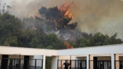 'Širilo se nenormalnom brzinom': Crna Gora drugi dan u borbi s požarima