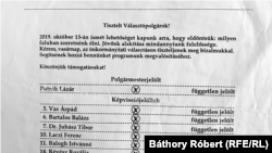 Biztos, ami biztos, 2019-ben az Újszentivánra szavazásra érkezők ilyen röpcédulákat kaptak vonalvezetőnek