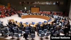 Sednica Saveta bezbednosti UN, Njujork, februar 2019.